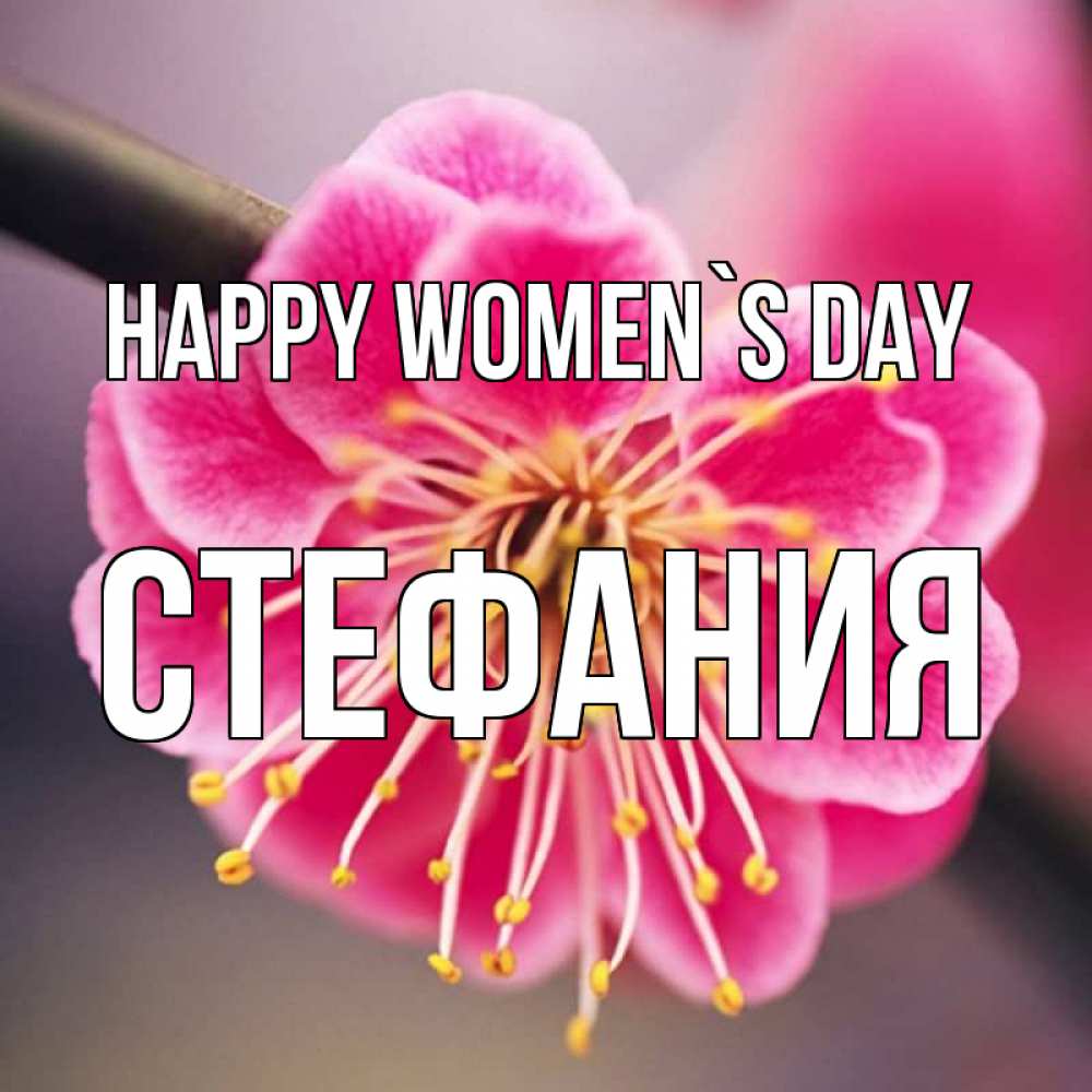 Greetings card с именем, Стефания happy women`s day цветы Greetings with text for free download 